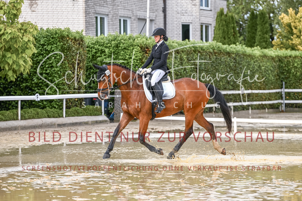 Schugtsche-Aluta25-54.Dressurprf.L1Trense-168 | Schugtsche Fotografie - Realisiert mit Pictrs.com