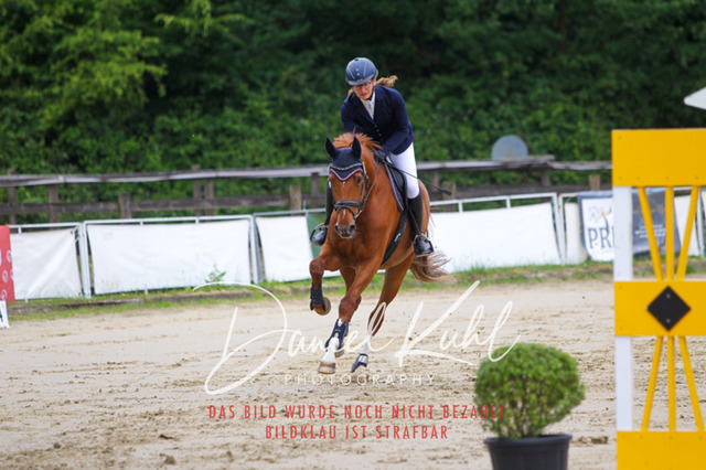 DKP41847 | Turniersportfotografie; Pferdefotografie; Dressurfotografie