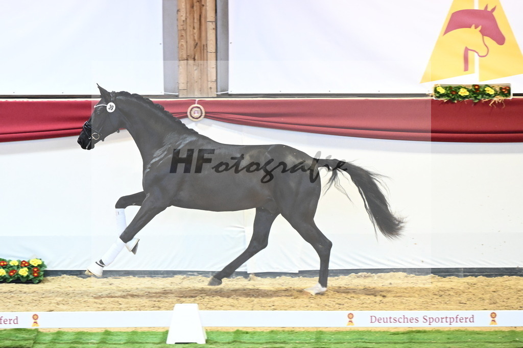 Kat.-Nr. 39 v. Dimaggio Black_Berger und Kopp_2240468 | hf-fotografie - Realisiert mit Pictrs.com
