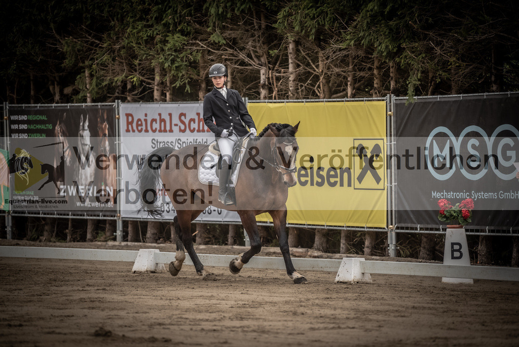 DSC_8311 | equestrian-live-com