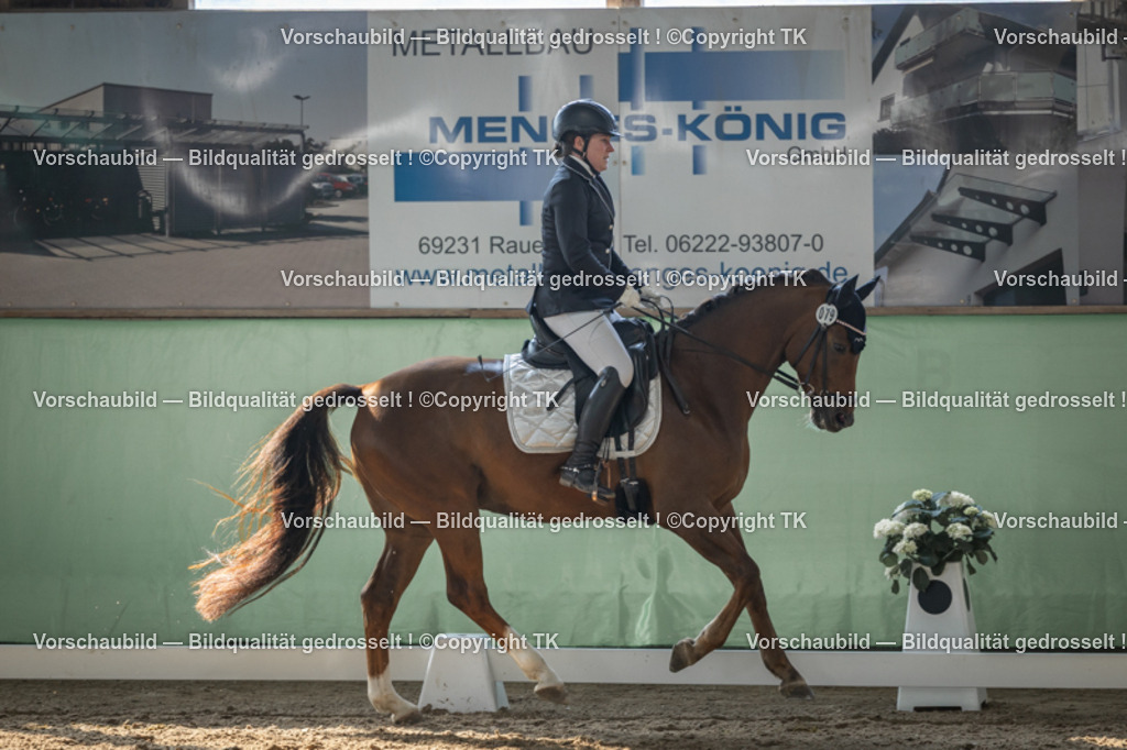 _D5A8441 | Emotionale Pferde- & People-Fotografie rund um Heidelberg, Leimen & Umgebung. Natürliche Fotos von Pferd, Mensch & Familie. Jetzt Termin sichern!