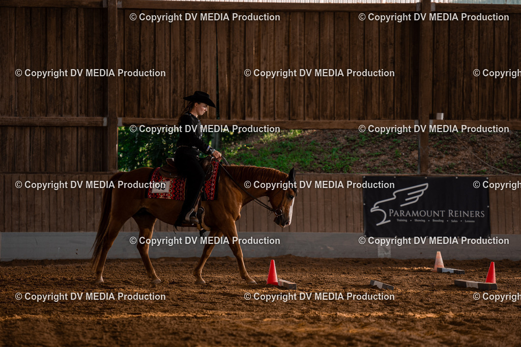 NE101216 | dv-media-shop - Realisiert mit Pictrs.com