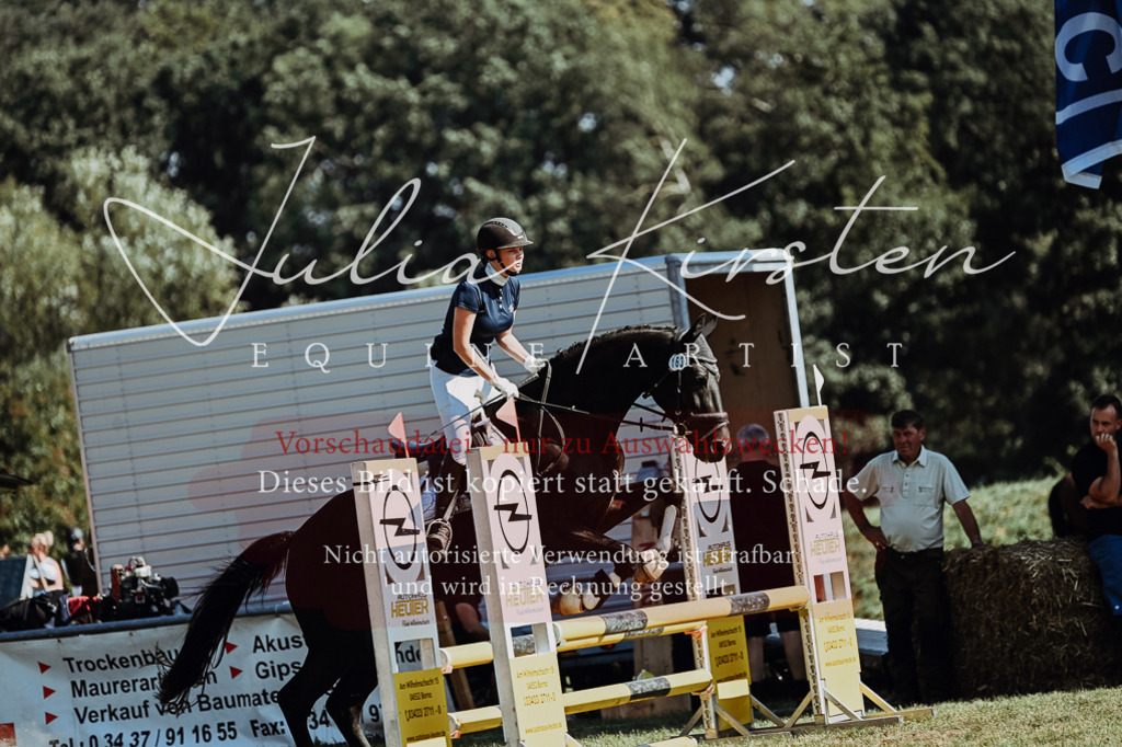 DSC_6622 | Pferde- und Turnierfotografie in Westsachsen. Pferdeportraits, Auftragszeichnungen und intuitive Kunst.