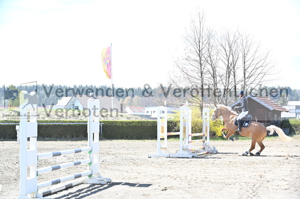 DSC_4951 | equestrian-live-com