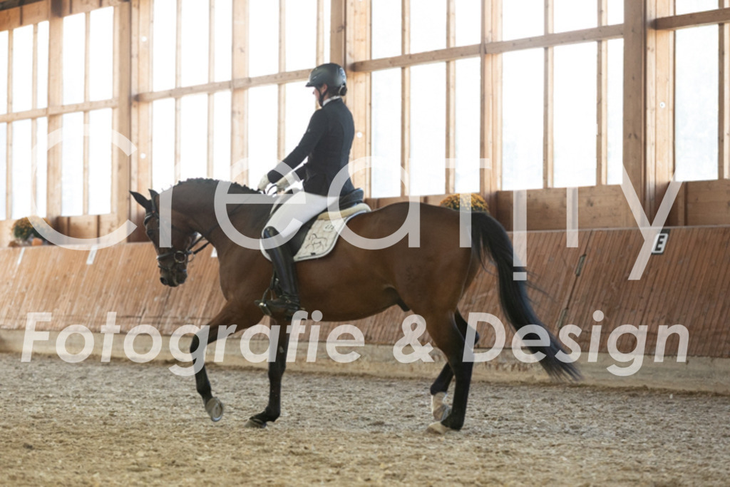 IMG_3627 | Creatify Fotografie