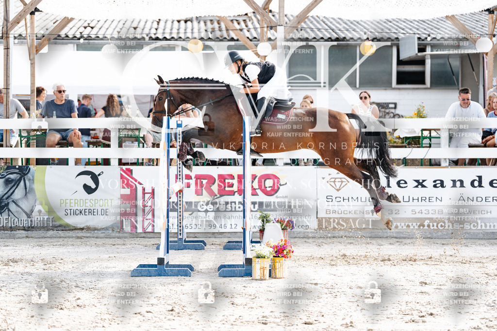 CK905828 | Turnierfotografie Pferdefotografie Trier Rheinland-Pfalz Pferdesport Reitsport Tierfotografie Sportfotografie Pferdevideo Pferdevideografie Equestrianvideography equestrianphotography  - Realisiert mit Pictrs.com