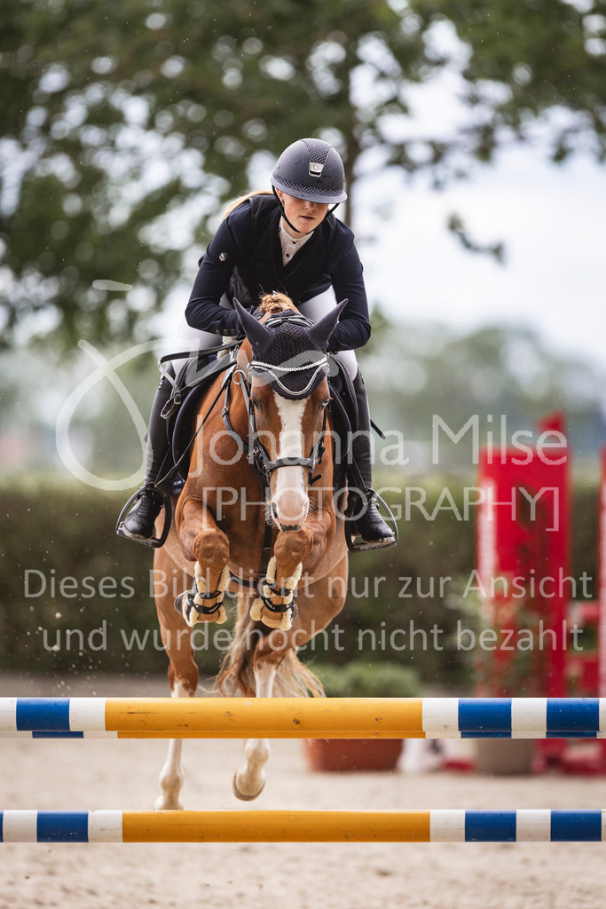 240616_Lemwerder_A2-Spr-214 | Deine schönsten Turniermomente als professionelle Fotos! Entdecke hochwertige Pferdesport-Fotografie im Online-Shop. Jetzt Fotos finden & bestellen!