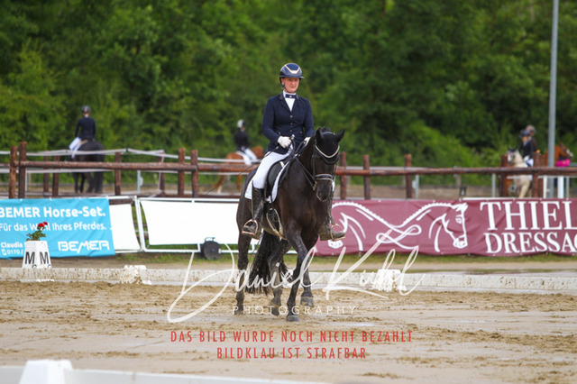 DKP40601 | Turniersportfotografie; Pferdefotografie; Dressurfotografie