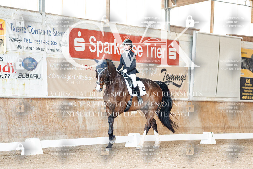 CK901202 | Turnierfotografie Pferdefotografie Trier Rheinland-Pfalz Pferdesport Reitsport Tierfotografie Sportfotografie Pferdevideo Pferdevideografie Equestrianvideography equestrianphotography  - Realisiert mit Pictrs.com