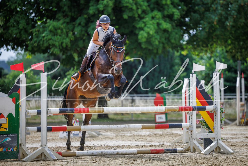 20260705-_3LI4385 | Tierfotografie Pferde, Hunde, Katzen, Haustiere.
Turnierfotografie Reitturniere, Reiten, Springreiten, Dressur in Hanau, dem Main-Kinzig-Kreis und dem Rhein-Main- Gebiet um Frankfurt
