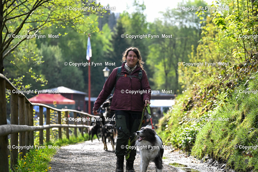 DSC_2843 | Hallo und herzlich Willkommen auf meiner Shop-Seite Fynn Most.

Ich wünsche Dir viel Spaß beim stöbern durch die Bilder, wenn Du Fragen hast oder Bilder vermisst, kannst du mir gerne eine Nachricht schreiben. - Realisiert mit Pictrs.com