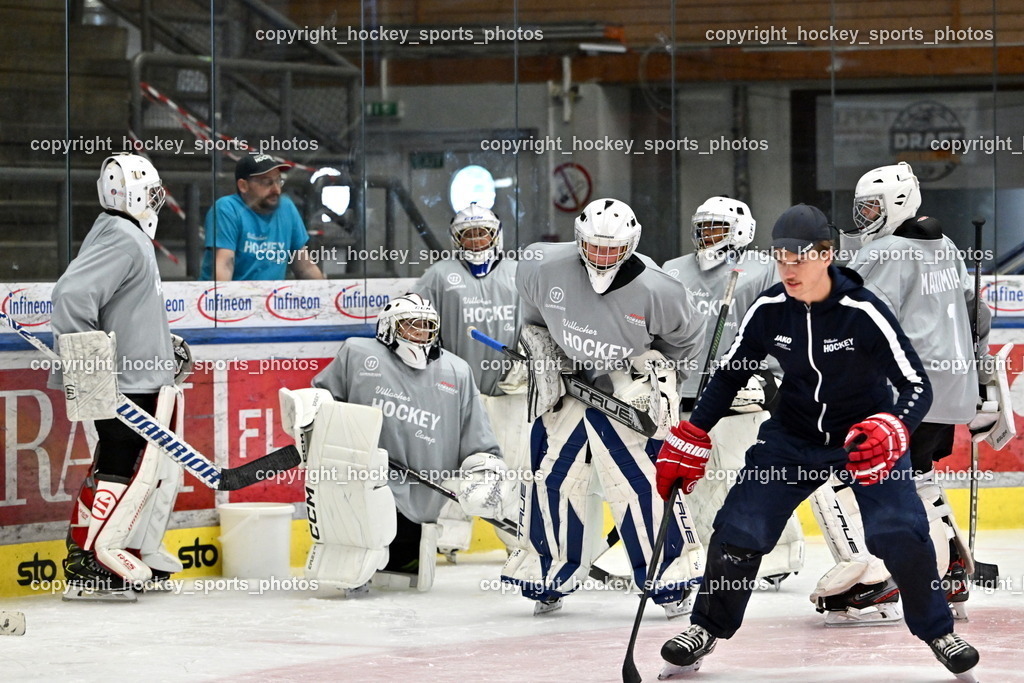 Z9B_3297 | hockey sports photos, Pressefotos, Sportfotos, hockey247, win 2day icehockeyleague, Handball Austria, Floorball Austria, ÖVV, Kärntner Eishockeyverband, KEHV, KFV, Kärntner Fussballverband, Österreichischer Volleyballverband, Alps Hockey League, ÖFB, 
