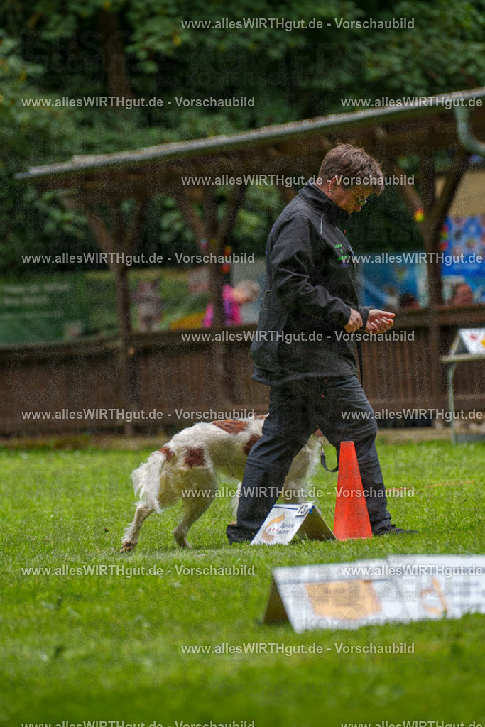 @allesWIRTHgut_Tierfotografie - www.allesWIRTHgut.de - 131538-7R509965 | Professionelle Tierfotografie in Mönchengladbach von Daniel Wirth (allesWIRTHgut). Liebevolle & natürliche Bilder von Hunden & Katzen für unvergessliche Erinnerungen.