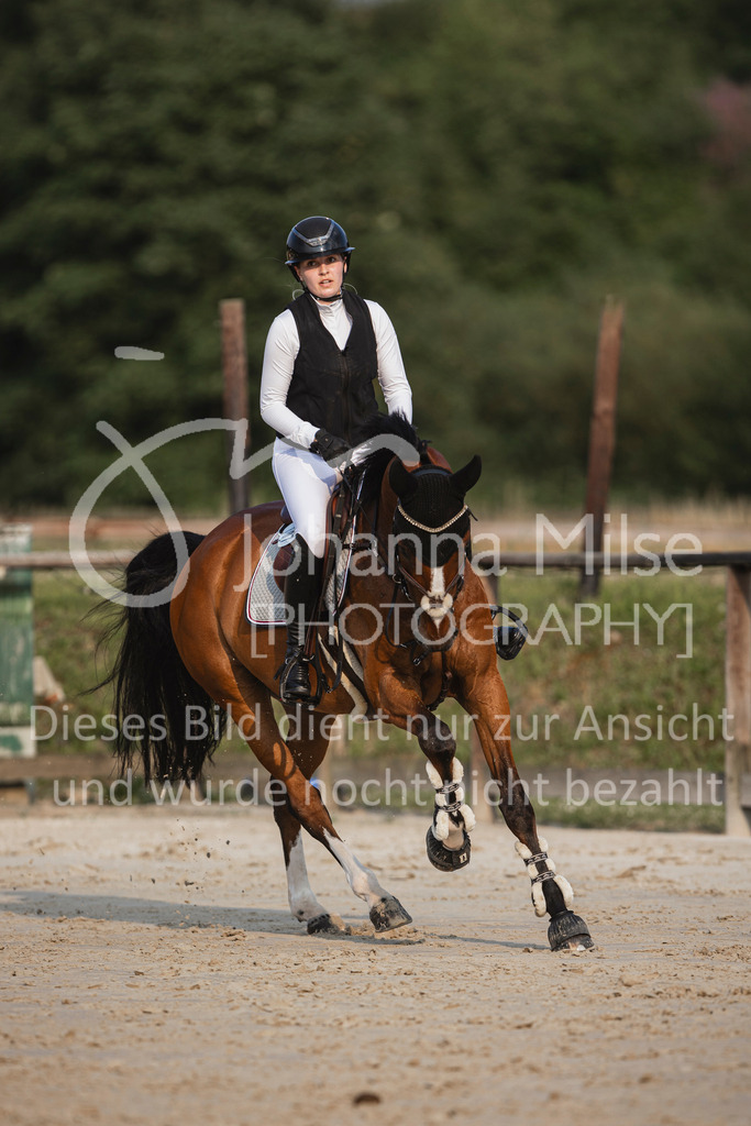 240627_LüPfSpTa_M1-Spr-317 | Deine schönsten Turniermomente als professionelle Fotos! Entdecke hochwertige Pferdesport-Fotografie im Online-Shop. Jetzt Fotos finden & bestellen!