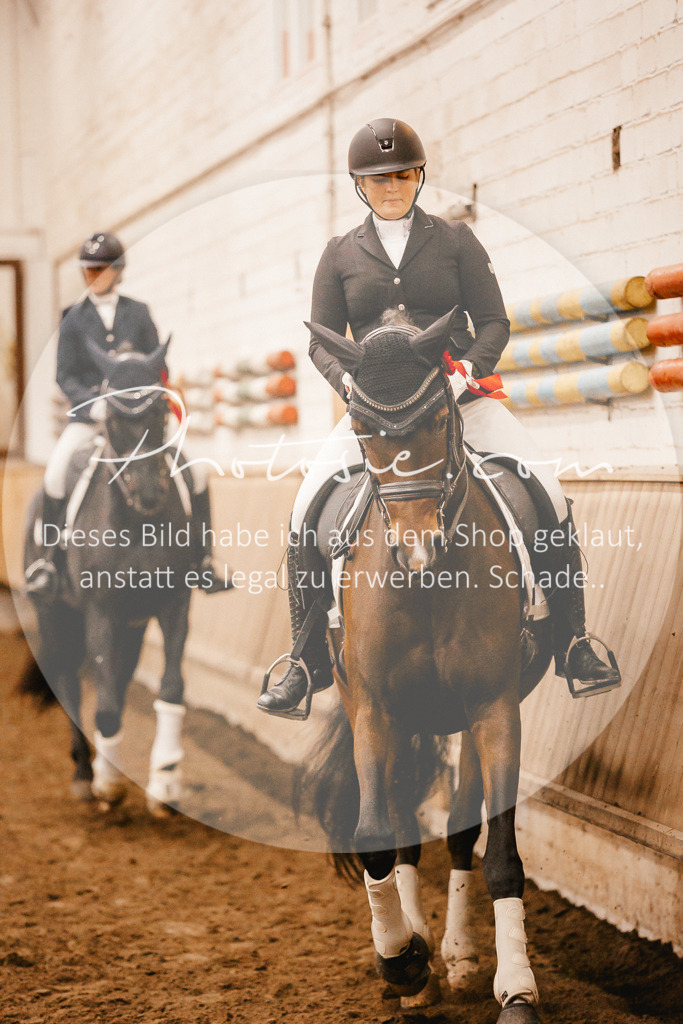 3I6A3334 | Stimmungsvolle Portraits und Reitsportfotografie im Ruhrgebiet und im Münsterland.

Pferdefotografie, Hundefotografie, Tierfotografie, Reportagen, Portraits von Tier und Mensch, Turnierfotografie in Bochum, Recklinghausen, Marl, Haltern am See, Dülmen.. - Realisiert mit Pictrs.com
