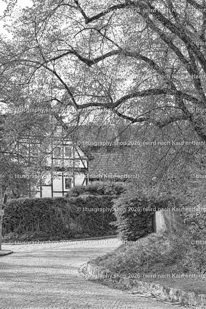 Oberkaufungen | Impressionen aus Oberkaufungen - Realisiert mit Pictrs.com