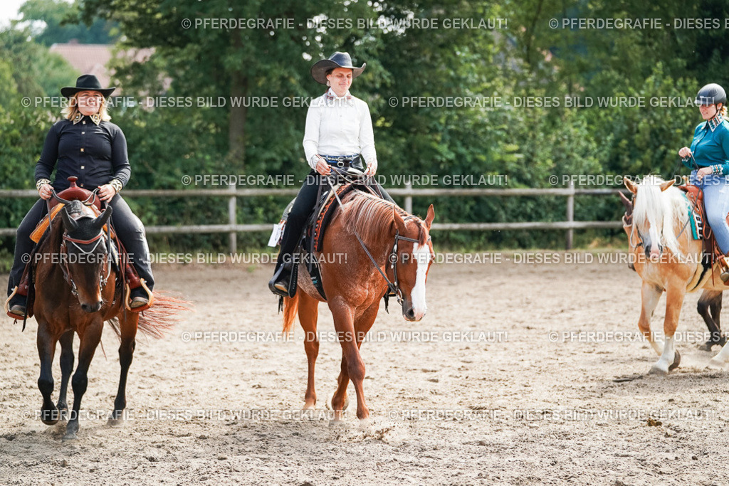 DSC04600 | Pferdegrafie