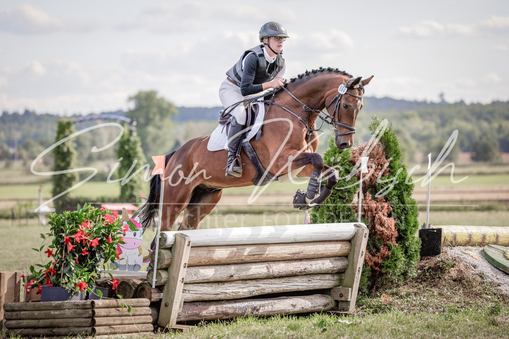 20250906-_3LI6916 | Tierfotografie Pferde, Hunde, Katzen, Haustiere.
Turnierfotografie Reitturniere, Reiten, Springreiten, Dressur in Hanau, dem Main-Kinzig-Kreis und dem Rhein-Main- Gebiet um Frankfurt