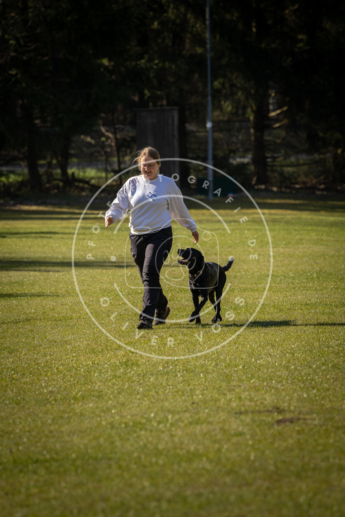 Pfotenfotografie_DV3A0246 | Hundefotografie, Tierfotograf, Pfotenfotografie, Fotoshooting Hund, Hunde Portrait, Hundesport, Hundeportraits, Heideshooting, Hunde, Sportfotograf, Hundefotograf, Turnierhundsport, THS,  - Realisiert mit Pictrs.com