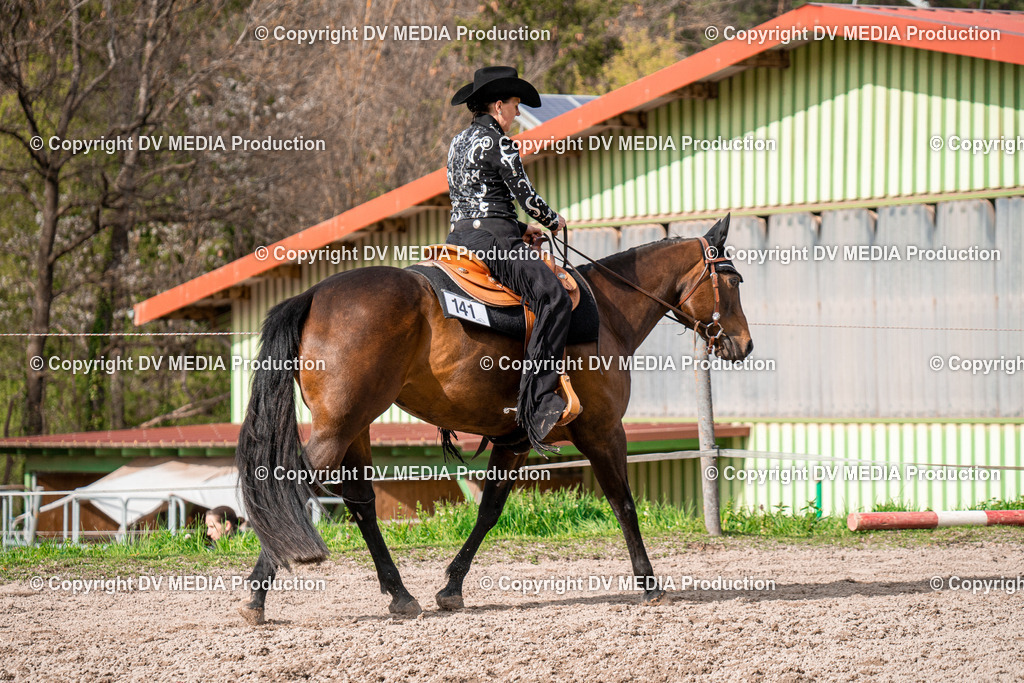 BAL02767 | dv-media-shop - Realisiert mit Pictrs.com