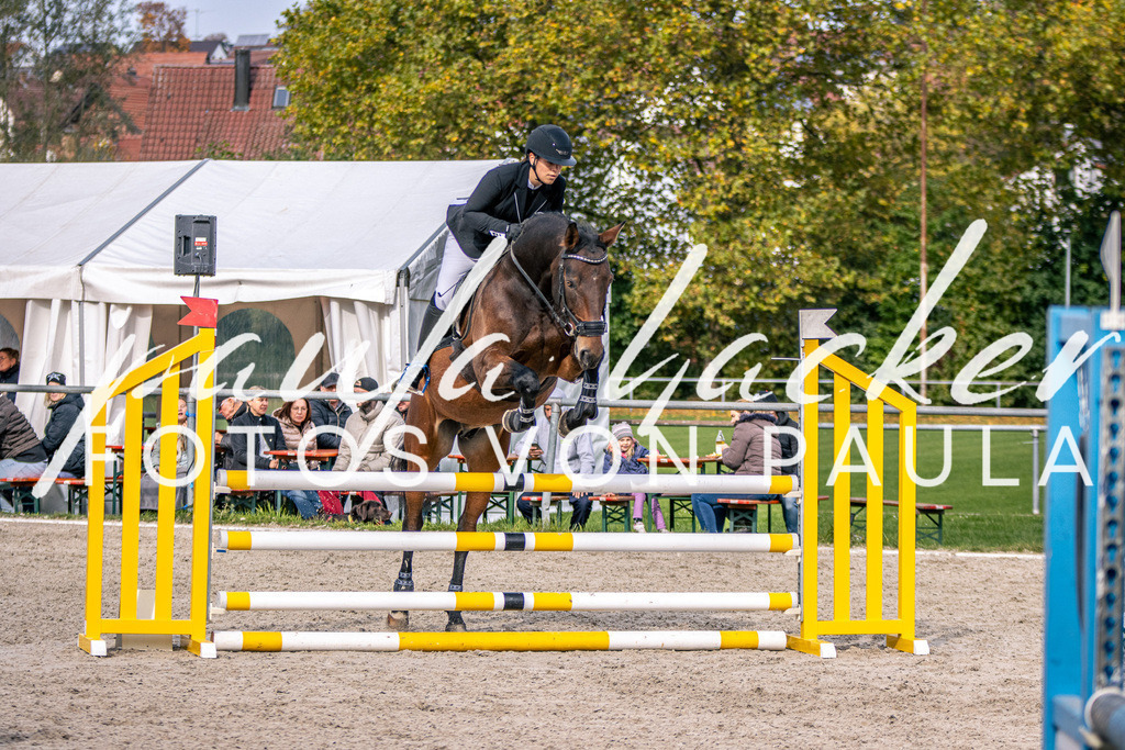 IMG_5356 | Erleben Sie dynamische Sport- und emotionale Tierfotografie in Süddeutschland mit Fotos von Paula. Spezialisiert auf Pferde- und Hundefotografie sowie Sportevents. Kontaktieren Sie mich für einzigartige und ausdrucksstarke Bilder Ihrer besonderen Momente. - Realisiert mit Pictrs.com