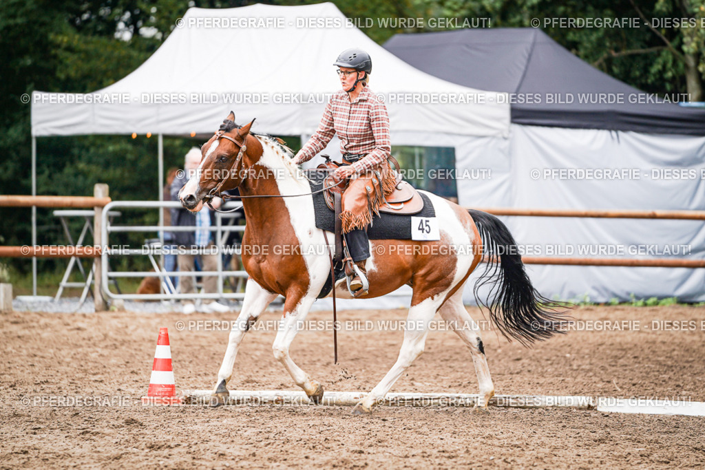 DSC04082 | Pferdegrafie