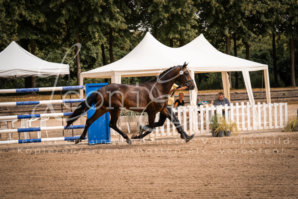 FrER00036 | Leoni Ertmer Photography - Realisiert mit Pictrs.com