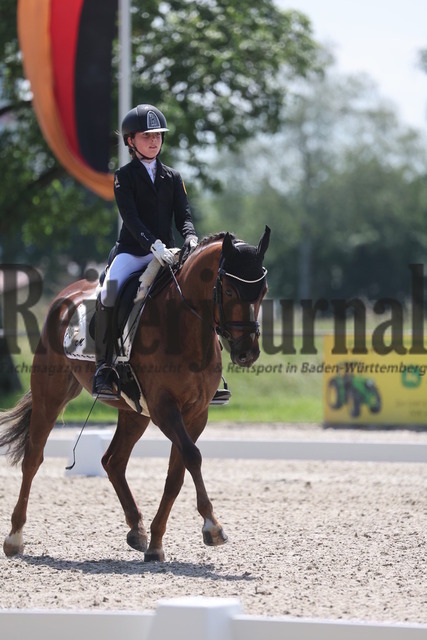 Rot am See_2024_Prfg.Nr.21_Qual.BCH_und_LCH_5-jähr.Ponys_Matilda Buchbach_Dundees Quadriga (11) | Alle Fotos der Reiterjournal Fotografin Doris Matthaes im Reiterjournal Online-Fotoshop. - Realisiert mit Pictrs.com
