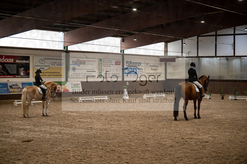Hallenreittunier Voxtrup 2023 | Entdecke hochwertige Reitturnierfotos von Foto Oger. Professionell, emotional und authentisch – jetzt Lieblingsmomente im Shop bestellen.Deutschlandweite Turnierfotografie. - Realisiert mit Pictrs.com