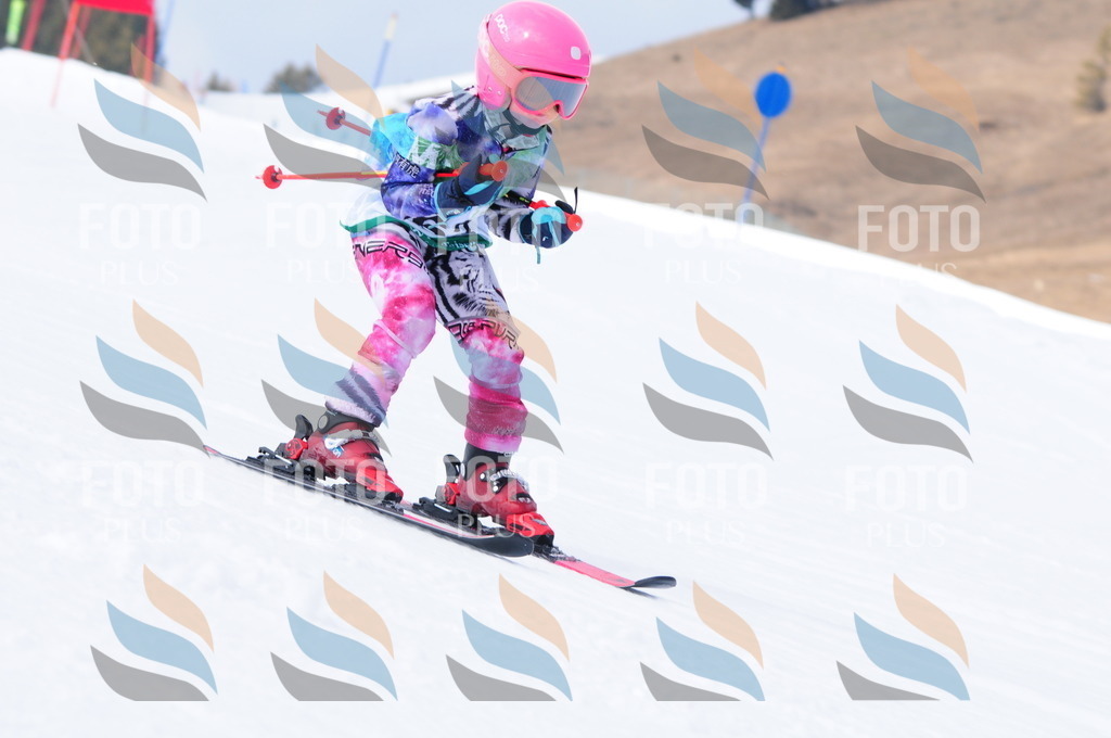 A3619 | holidayphoto