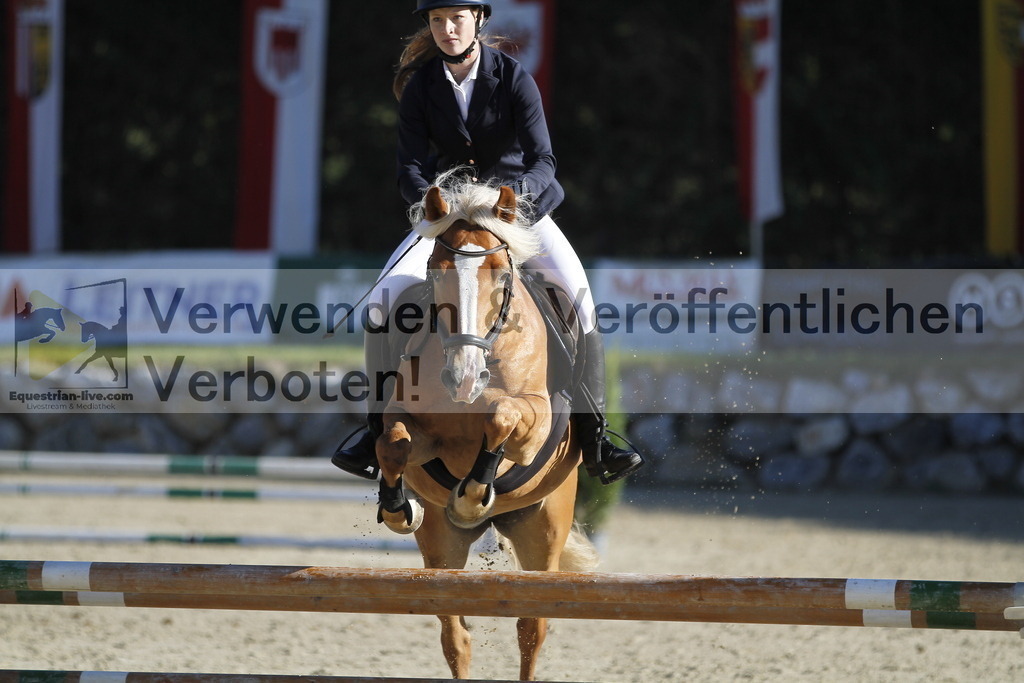 _MG_1336 | equestrian-live-com
