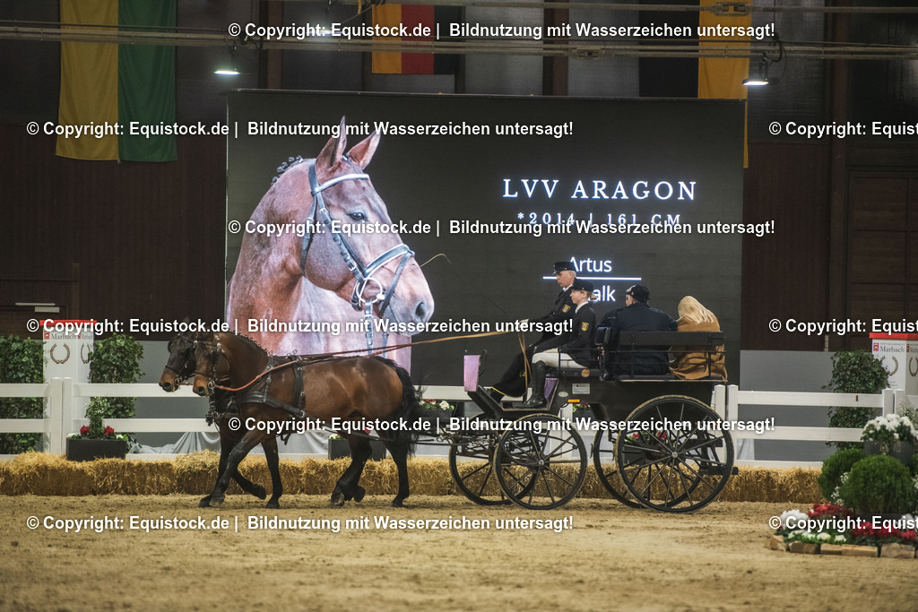 20240302_Hengstvorstellung_Marbach_TOMsPiC_0762 | equistock