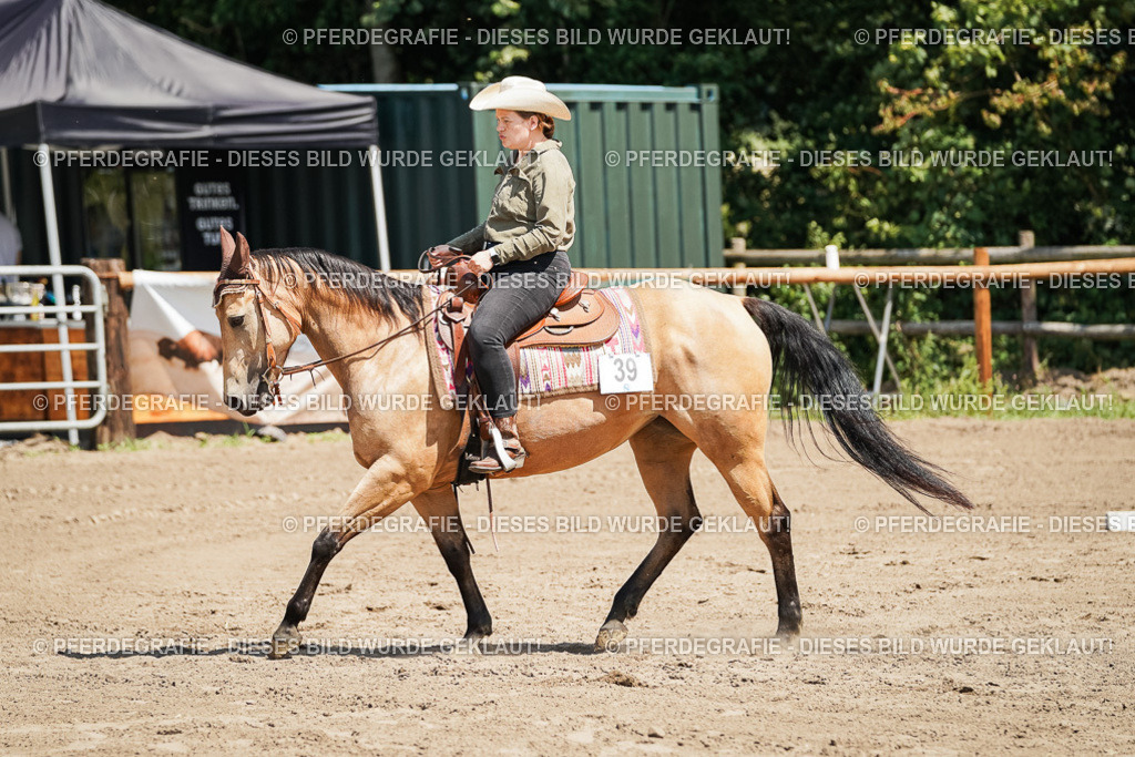 DSC06692 | Pferdegrafie