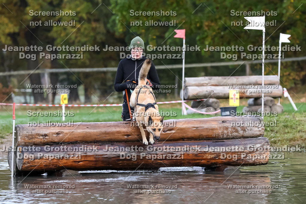 Dog Paparazzi - Strongdog 10-25-6420 | Dog Paparazzi Jeanette Grottendiek Fotografie & Videografie - Realisiert mit Pictrs.com