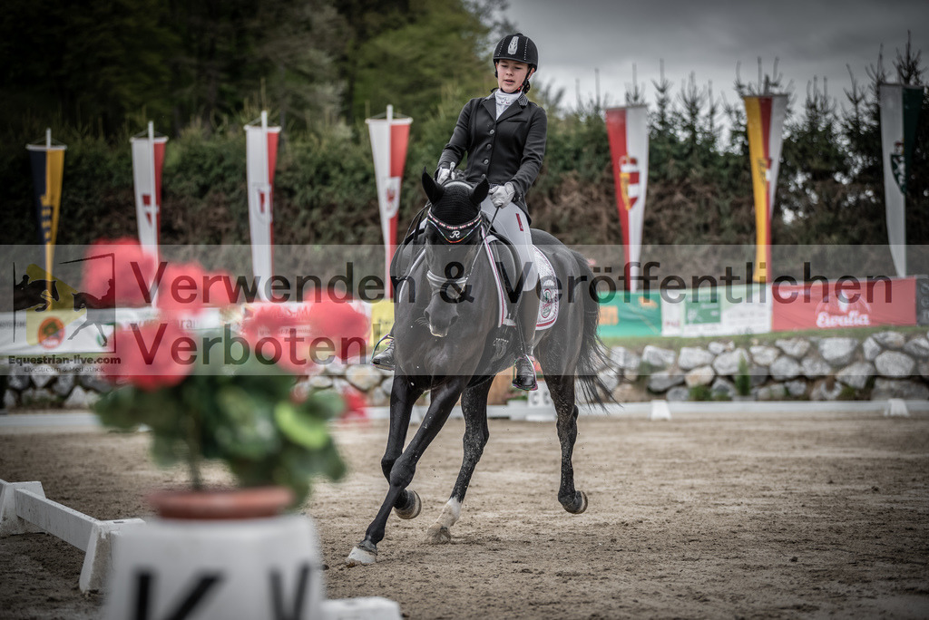 DSC_9473 | equestrian-live-com