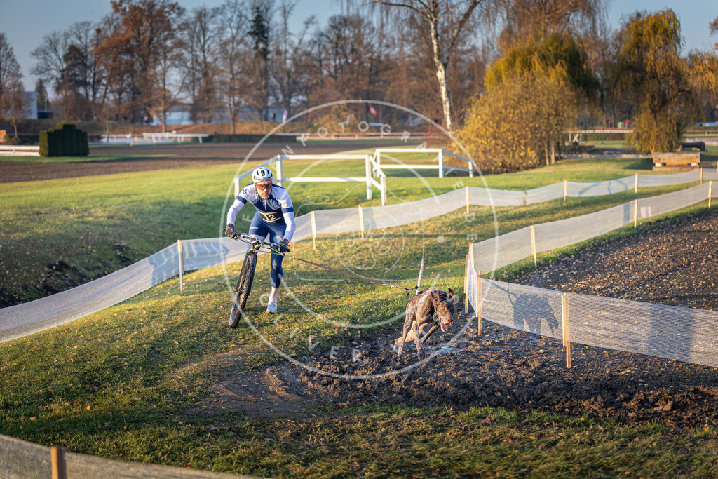 CaniXpix_DV3A9498 | Hundefotografie, Tierfotograf, Pfotenfotografie, Fotoshooting Hund, Hunde Portrait, Hundesport, Hundeportraits, Heideshooting, Hunde, Sportfotograf, Hundefotograf, Turnierhundsport, THS,  - Realisiert mit Pictrs.com