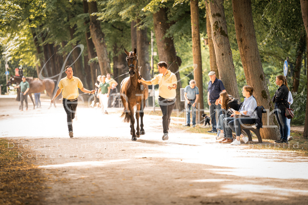 FrPfM00145 | Leoni Ertmer Photography - Realisiert mit Pictrs.com