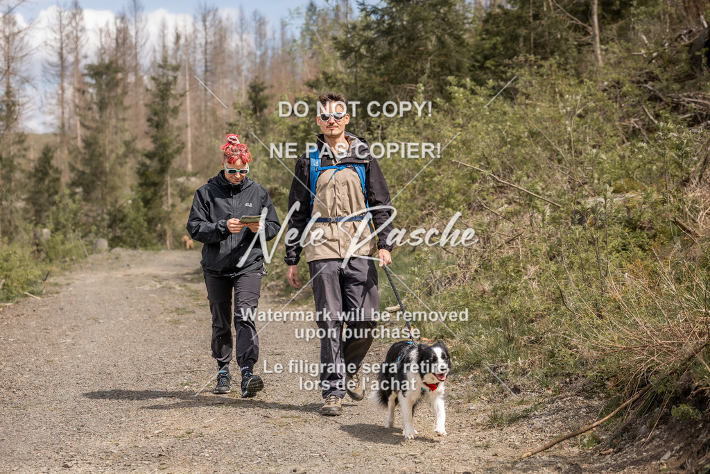 6Z1A1282 | nelerasche