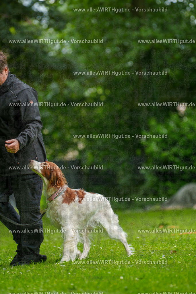 @allesWIRTHgut_Tierfotografie - www.allesWIRTHgut.de - 131356-7R509925 | Professionelle Tierfotografie in Mönchengladbach von Daniel Wirth (allesWIRTHgut). Liebevolle & natürliche Bilder von Hunden & Katzen für unvergessliche Erinnerungen.