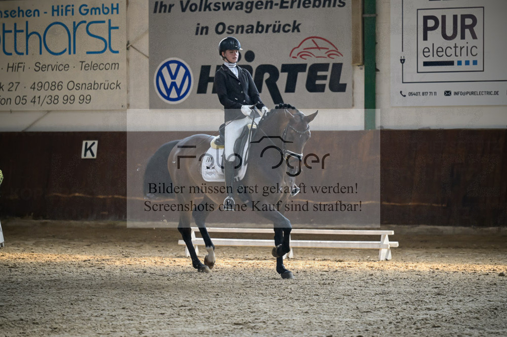 Reitturnier Voxtrup | Entdecke hochwertige Reitturnierfotos von Foto Oger. Professionell, emotional und authentisch – jetzt Lieblingsmomente im Shop bestellen.Deutschlandweite Turnierfotografie. - Realisiert mit Pictrs.com