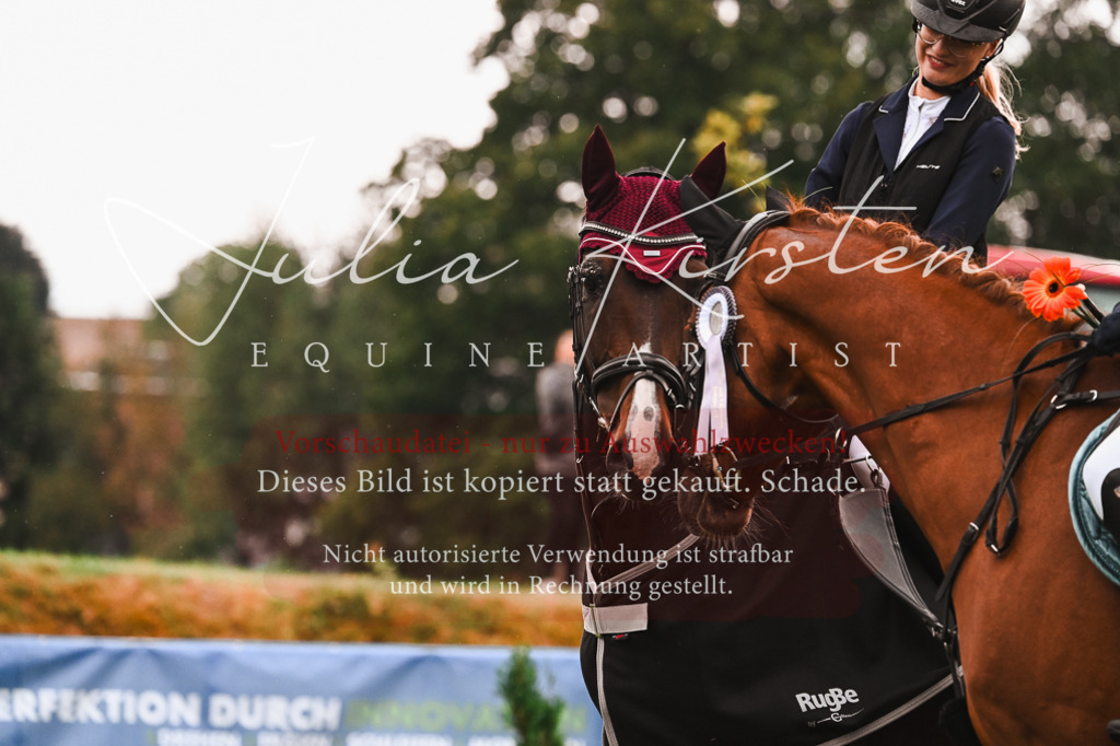 DSC_6674 | Pferde- und Turnierfotografie in Westsachsen. Pferdeportraits, Auftragszeichnungen und intuitive Kunst.