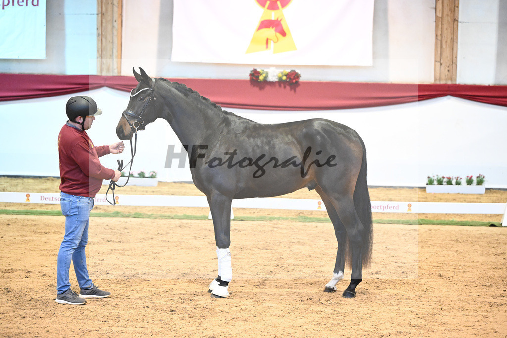 Kat-Nr. 61 Von Und Zu x Lauries Crusador xx_Berger_43232118 | hf-fotografie - Realisiert mit Pictrs.com