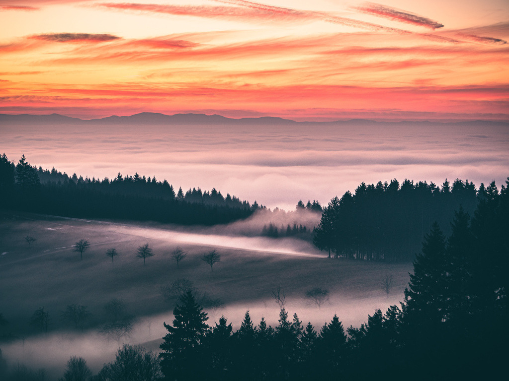 Nebelgrenze | Winterstimmung im Schuttertal im Schwarzwald - Realisiert mit Pictrs.com