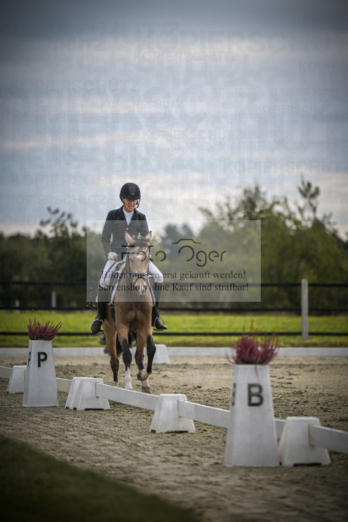 DOS_2435 | Entdecke hochwertige Reitturnierfotos von Foto Oger. Professionell, emotional und authentisch – jetzt Lieblingsmomente im Shop bestellen.Deutschlandweite Turnierfotografie. - Realisiert mit Pictrs.com