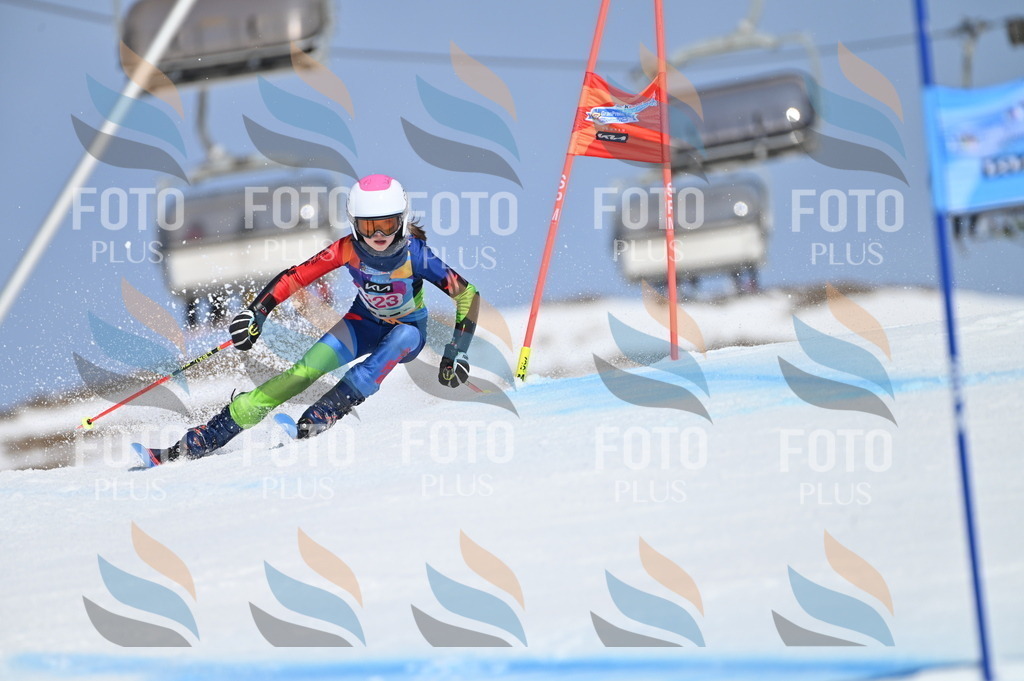 BGV_9850 | holidayphoto