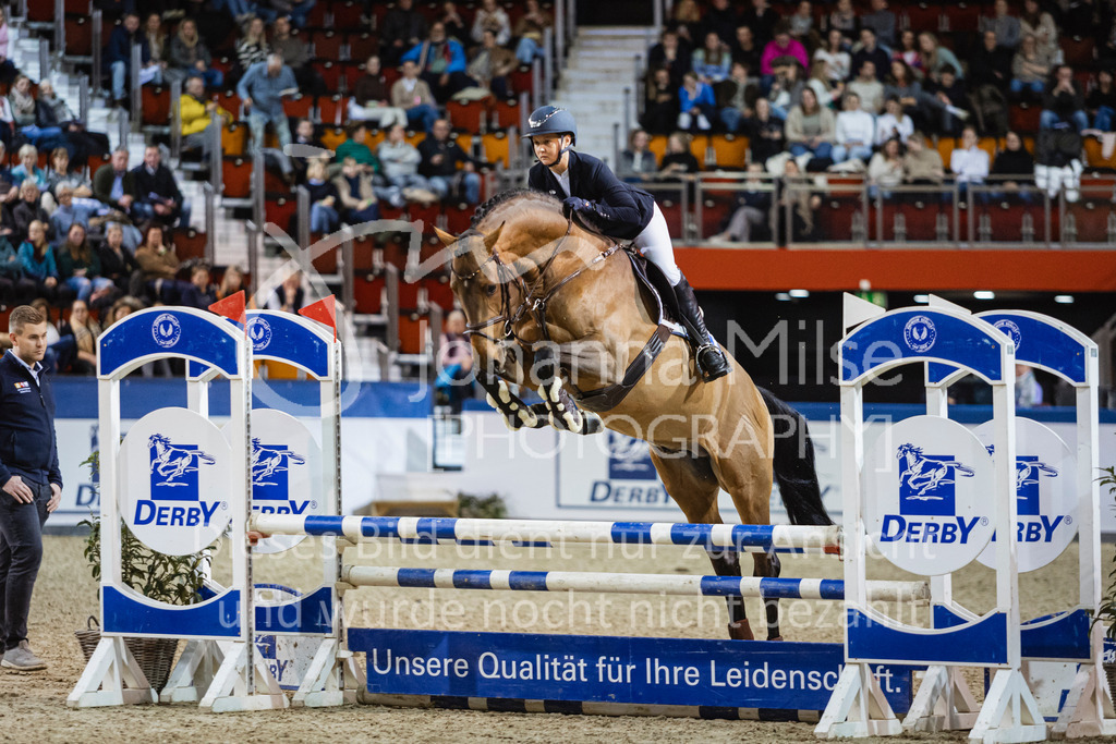 250108_Muenster_Hengstpräsentation-126 | Deine schönsten Turniermomente als professionelle Fotos! Entdecke hochwertige Pferdesport-Fotografie im Online-Shop. Jetzt Fotos finden & bestellen!