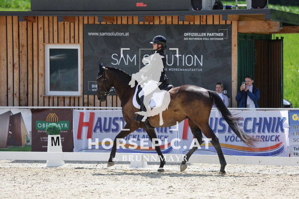 0P6A5680 | Willkommen bei Brunnmayr - Design & Fotografie – Ihrem Spezialisten für Reitturniere und Pferdeveranstaltungen in Oberösterreich, Salzburg und Bayern! Seit über 17 Jahren sind wir leidenschaftlich dabei.