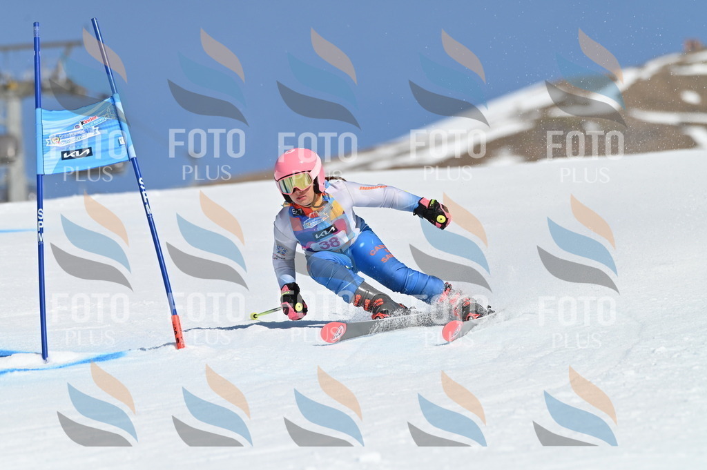 BGV_8314 | holidayphoto