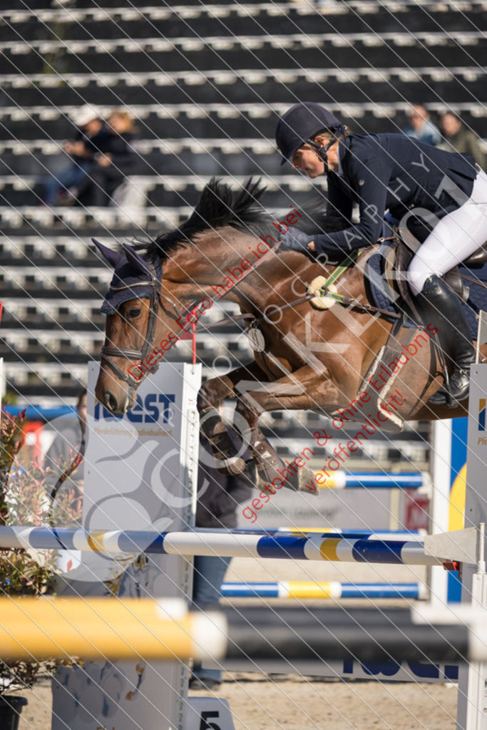 IMG_3286 | Sport-, Event- und Tierfotos in Profiqualität. Einfach auswählen, bestellen und herunterladen. Dein Moment – perfekt festgehalten.
