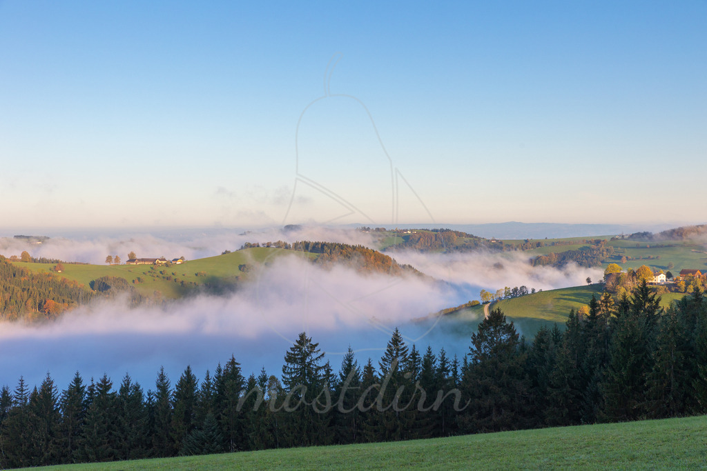 Herbstnebel Franzenreith Randegg | Ihre Fotografin im Lungau, ihre Fotografin im Mostviertel, Wandbilder Onlineshop, Imagefotos für Ihr Unternehmen,  - Realisiert mit Pictrs.com